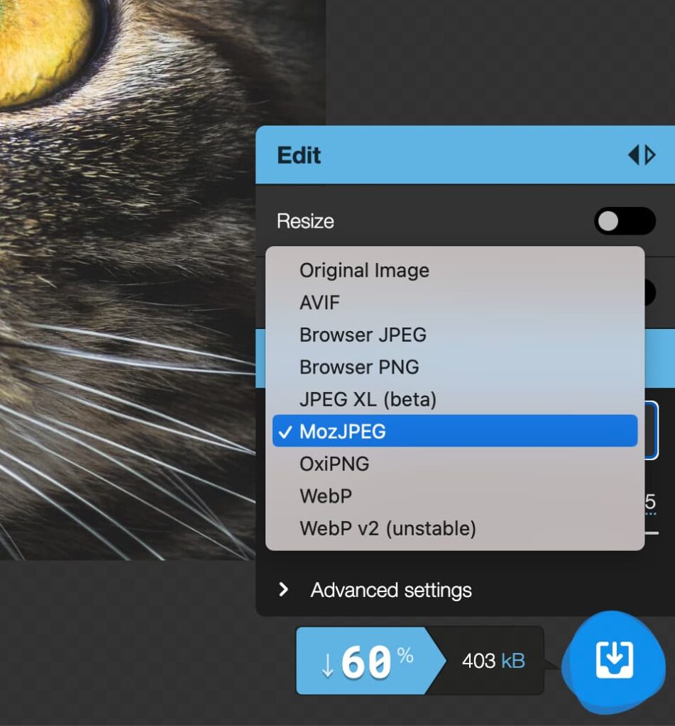 Options of image format