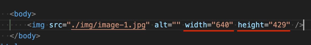 画像のwidth, height属性が入力された様子